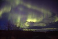 Aurora 1